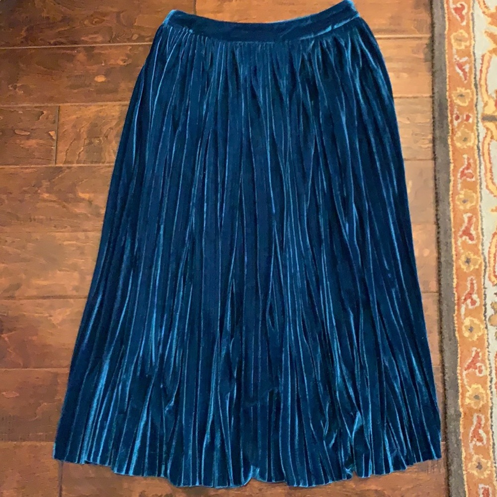 Velvety pleaded gorgeous skirt